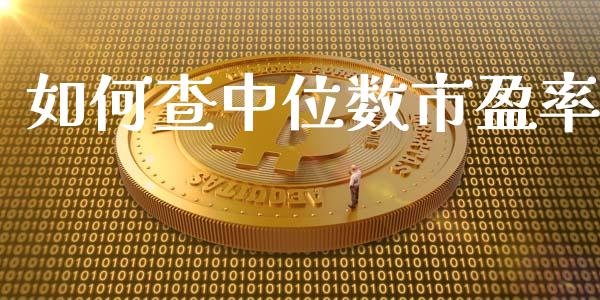 如何查中位数市盈率_https://m.lcjysmgs.com_股票交易_第1张