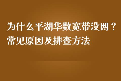 为什么平湖华数宽带没网？常见原因及排查方法_https://m.lcjysmgs.com_基金管理_第1张