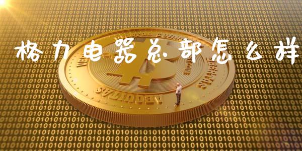 格力电器总部怎么样_https://m.lcjysmgs.com_金融服务_第1张