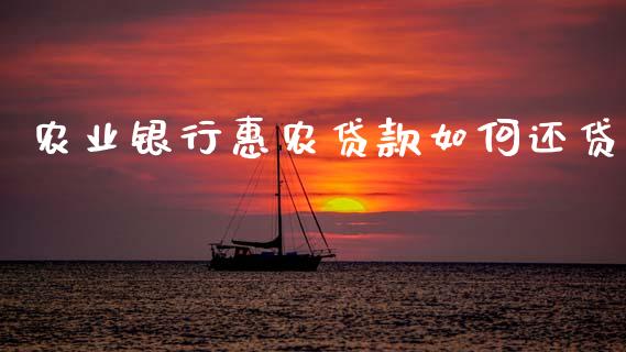 农业银行惠农贷款如何还贷_https://m.lcjysmgs.com_股票交易_第1张