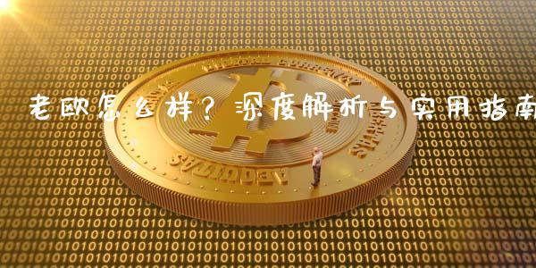 老欧怎么样？深度解析与实用指南_https://m.lcjysmgs.com_股权投资_第1张