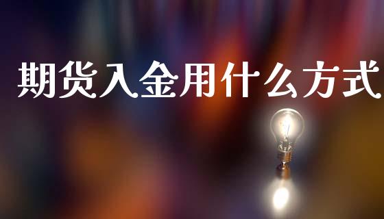 期货入金用什么方式_https://m.lcjysmgs.com_基金管理_第1张