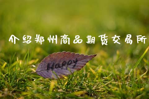 介绍郑州商品期货交易所_https://m.lcjysmgs.com_基金管理_第1张