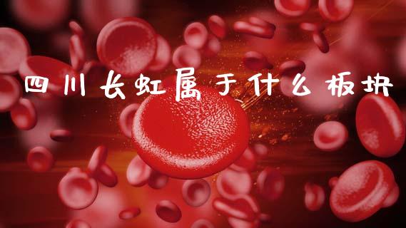 四川长虹属于什么板块_https://m.lcjysmgs.com_股票交易_第1张