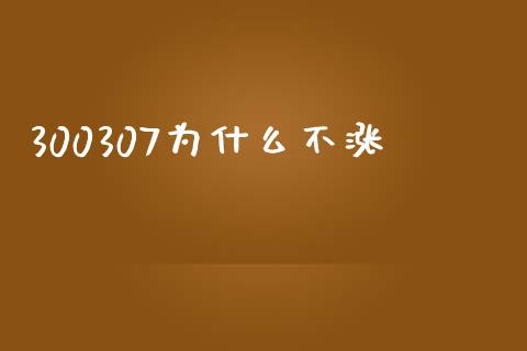 300307为什么不涨_https://m.lcjysmgs.com_股票交易_第1张