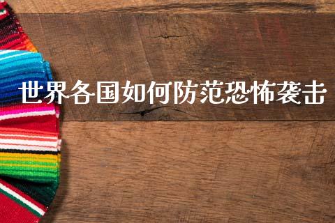 世界各国如何防范恐怖袭击_https://m.lcjysmgs.com_金融服务_第1张