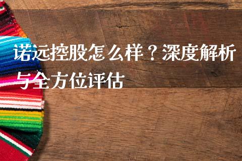 诺远控股怎么样？深度解析与全方位评估_https://m.lcjysmgs.com_股权投资_第1张