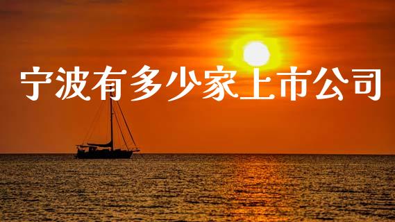 宁波有多少家上市公司_https://m.lcjysmgs.com_股权投资_第1张