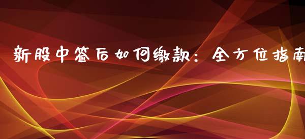 新股中签后如何缴款：全方位指南_https://m.lcjysmgs.com_股权投资_第1张