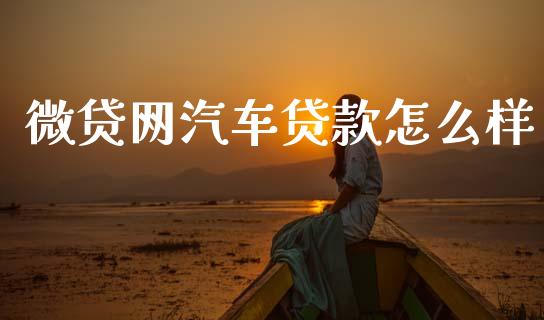 微贷网汽车贷款怎么样_https://m.lcjysmgs.com_金融服务_第1张