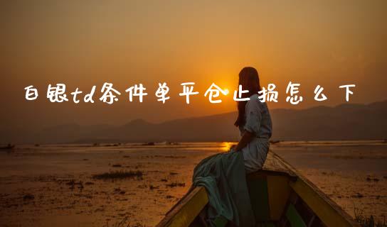 白银td条件单平仓止损怎么下_https://m.lcjysmgs.com_股权投资_第1张