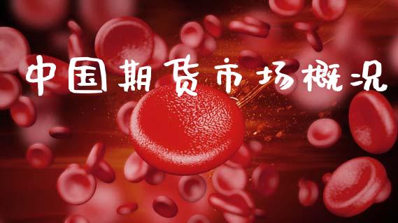 中国期货市场概况_https://m.lcjysmgs.com_基金管理_第1张
