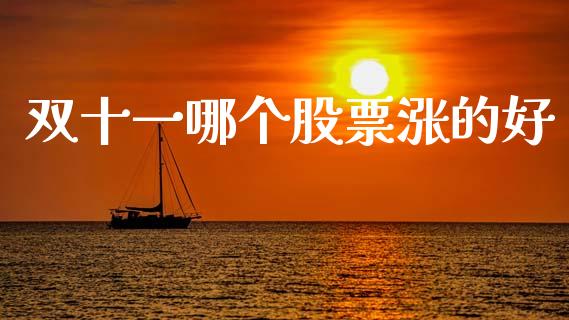 双十一哪个股票涨的好_https://m.lcjysmgs.com_股票交易_第1张