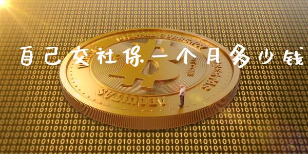 自己交社保一个月多少钱_https://m.lcjysmgs.com_股权投资_第1张