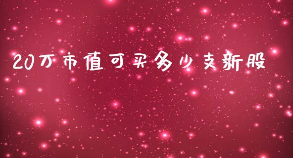 20万市值可买多少支新股_https://m.lcjysmgs.com_股权投资_第1张