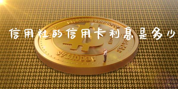信用社的信用卡利息是多少_https://m.lcjysmgs.com_股权投资_第1张