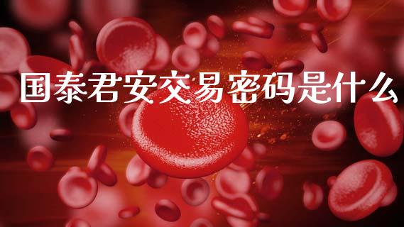 国泰君安交易密码是什么_https://m.lcjysmgs.com_股权投资_第1张