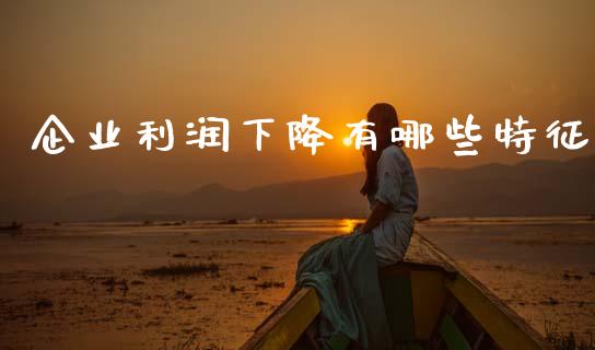企业利润下降有哪些特征_https://m.lcjysmgs.com_股票交易_第1张