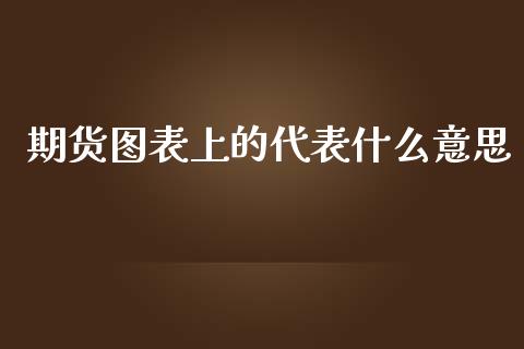 期货图表上的代表什么意思_https://m.lcjysmgs.com_股票交易_第1张