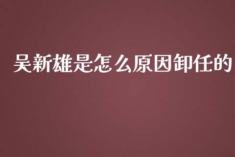 吴新雄是怎么原因卸任的_https://m.lcjysmgs.com_股权投资_第1张
