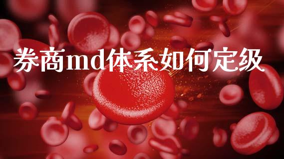 券商md体系如何定级_https://m.lcjysmgs.com_金融服务_第1张