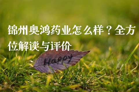 锦州奥鸿药业怎么样？全方位解读与评价_https://m.lcjysmgs.com_股权投资_第1张