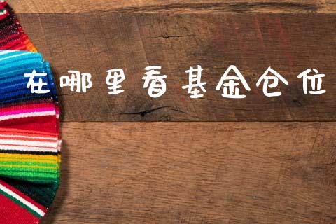 在哪里看基金仓位_https://m.lcjysmgs.com_基金管理_第1张