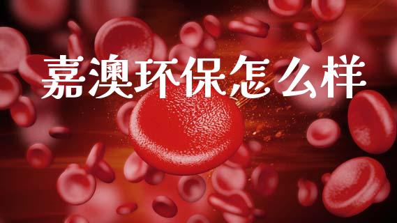 嘉澳环保怎么样_https://m.lcjysmgs.com_金融服务_第1张