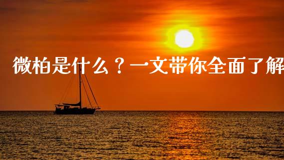 微柏是什么?一文带你全面了解_股票交易_第1张_股权投资_基金管理_股票交易_金融服务 微柏是什么?一文带你全面了解_https://m.lcjysmgs.com_股票交易_第1张