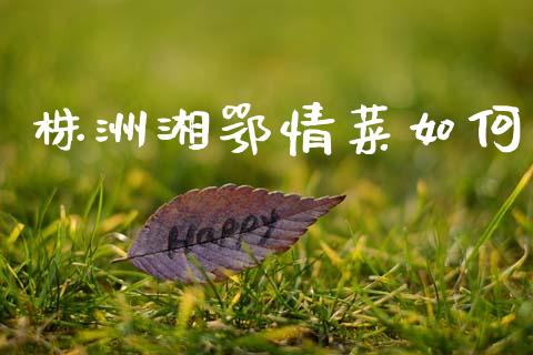 株洲湘鄂情菜如何_https://m.lcjysmgs.com_金融服务_第1张