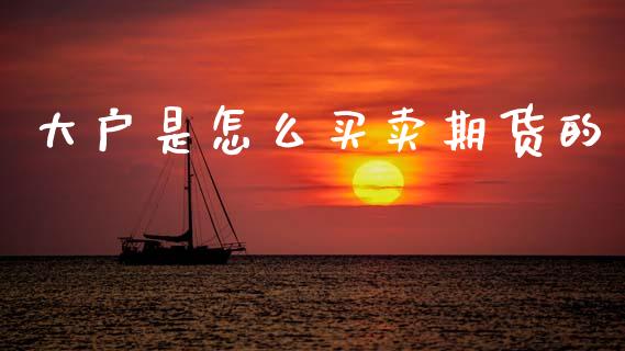 大户是怎么买卖期货的_https://m.lcjysmgs.com_股票交易_第1张