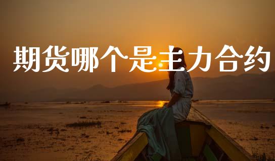 期货哪个是主力合约_https://m.lcjysmgs.com_基金管理_第1张