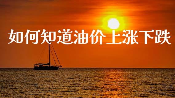 如何知道油价上涨下跌_https://m.lcjysmgs.com_基金管理_第1张