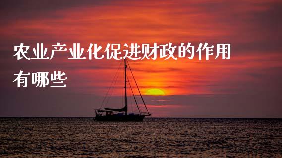农业产业化促进财政的作用有哪些_https://m.lcjysmgs.com_金融服务_第1张