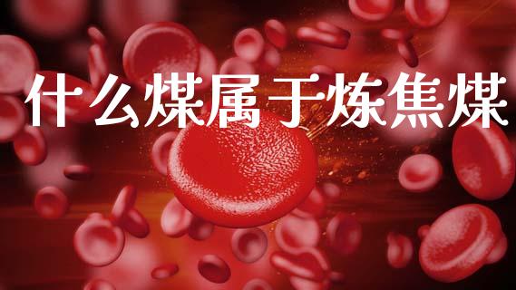 什么煤属于炼焦煤_https://m.lcjysmgs.com_金融服务_第1张