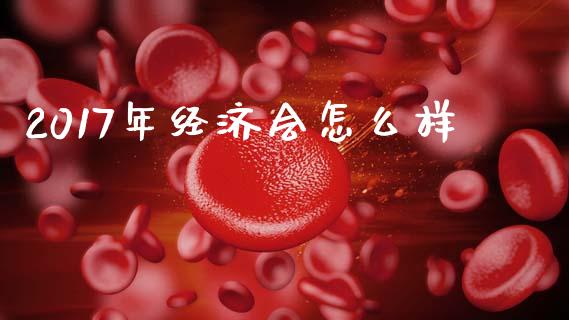 2017年经济会怎么样_https://m.lcjysmgs.com_股权投资_第1张