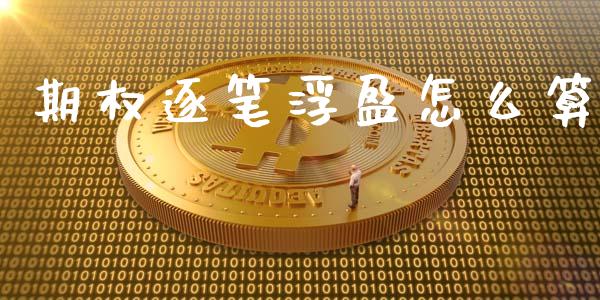 期权逐笔浮盈怎么算_https://m.lcjysmgs.com_金融服务_第1张