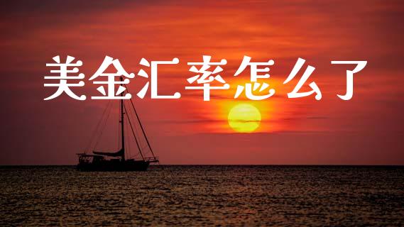 美金汇率怎么了_https://m.lcjysmgs.com_基金管理_第1张