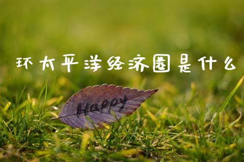 环太平洋经济圈是什么_https://m.lcjysmgs.com_金融服务_第1张