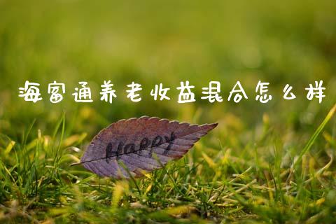 海富通养老收益混合怎么样_https://m.lcjysmgs.com_金融服务_第1张