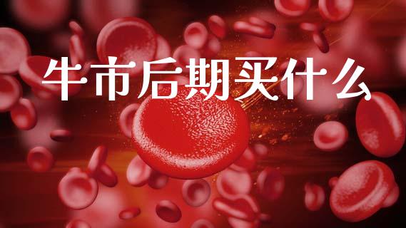 牛市后期买什么_https://m.lcjysmgs.com_股票交易_第1张