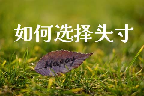 如何选择头寸_https://m.lcjysmgs.com_金融服务_第1张