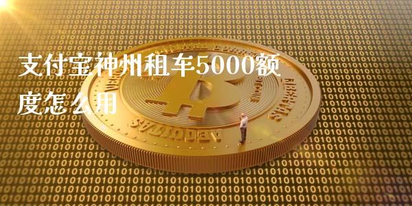 支付宝神州租车5000额度怎么用_https://m.lcjysmgs.com_基金管理_第1张