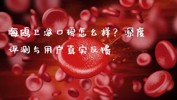 海鸥卫浴口碑怎么样？深度评测与用户真实反馈_https://m.lcjysmgs.com_股权投资_第1张