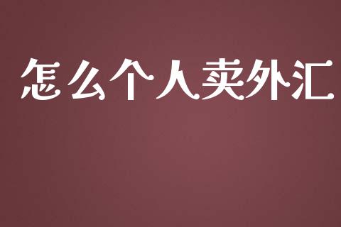 怎么个人卖外汇_https://m.lcjysmgs.com_股权投资_第1张
