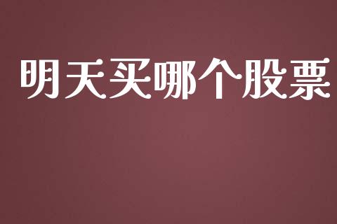 明天买哪个股票_https://m.lcjysmgs.com_股权投资_第1张