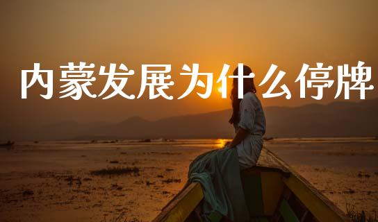 内蒙发展为什么停牌_https://m.lcjysmgs.com_股票交易_第1张