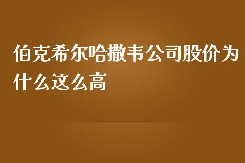 伯克希尔哈撒韦公司股价为什么这么高_https://m.lcjysmgs.com_股权投资_第1张
