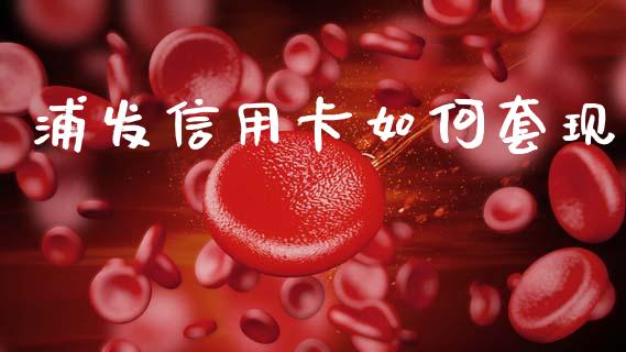 浦发信用卡如何套现_https://m.lcjysmgs.com_基金管理_第1张