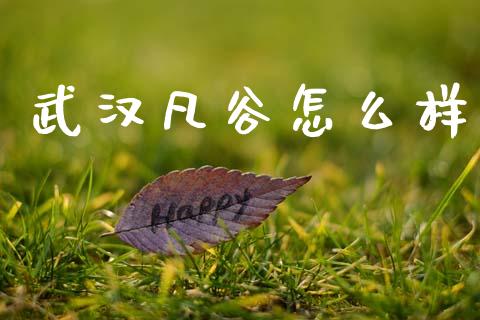 武汉凡谷怎么样_https://m.lcjysmgs.com_股票交易_第1张
